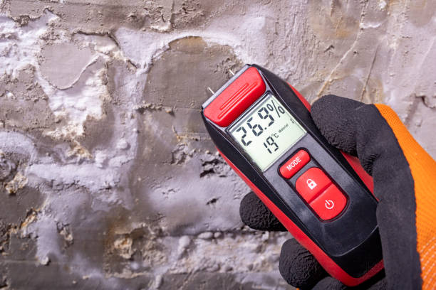 Best Mold Damage Repair  in Andrews Af, MD