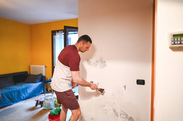 Andrews Af, MD Mold Removal Company