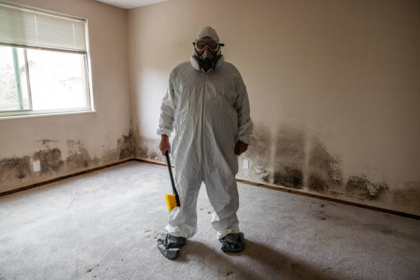 Best Commercial Mold Removal  in Andrews Af, MD